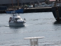 IMG_3997 (Medium)