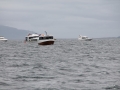 IMG_6646 (Medium)