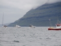 IMG_6647 (Medium)