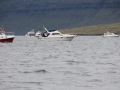 IMG_6649 (Medium)