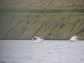 IMG_6652 (Medium)