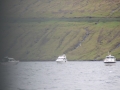 IMG_6653 (Medium)