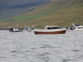 IMG_6654 (Medium)