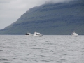 IMG_6655 (Medium)