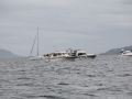 IMG_6656 (Medium)