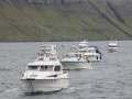 IMG_6672 (Medium)