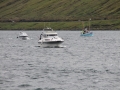 IMG_6678 (Medium)