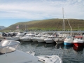 IMG_6707 (Medium)