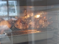 IMG_3536 (Medium)