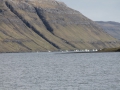 IMG_2065 (Medium)