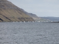 IMG_2067 (Medium)