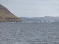 IMG_2068 (Medium)