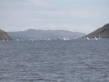 IMG_2069 (Medium)