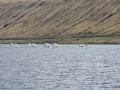 IMG_2072 (Medium)
