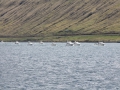 IMG_2075 (Medium)