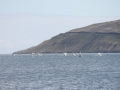 IMG_2076 (Medium)