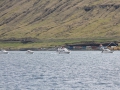 IMG_2077 (Medium)