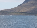 IMG_2078 (Medium)