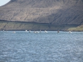 IMG_2079 (Medium)