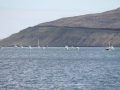 IMG_2082 (Medium)
