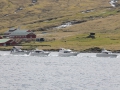 IMG_2083 (Medium)