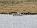 IMG_2085 (Medium)