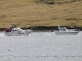 IMG_2086 (Medium)