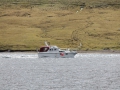 IMG_2087 (Medium)