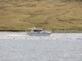 IMG_2088 (Medium)