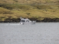 IMG_2091 (Medium)