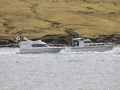 IMG_2097 (Medium)