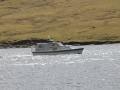 IMG_2098 (Medium)