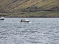 IMG_2099 (Medium)