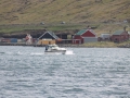 IMG_2100 (Medium)