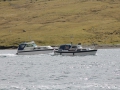 IMG_2105 (Medium)