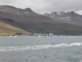 IMG_2134 (Medium)