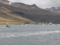 IMG_2135 (Medium)