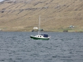 IMG_2180 (Medium)