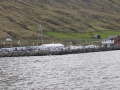 IMG_2187 (Medium)