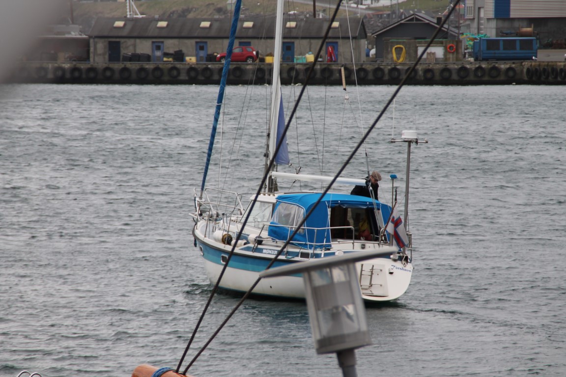 IMG_6213 (Medium)
