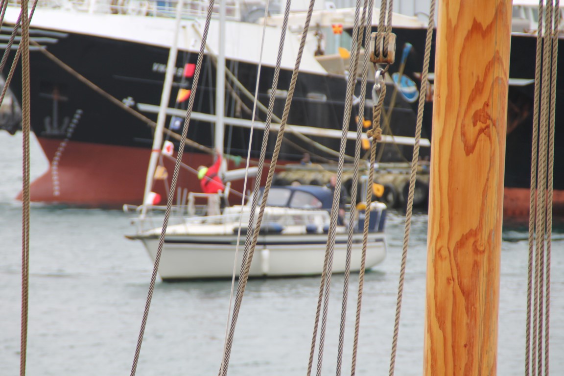 IMG_6214 (Medium)