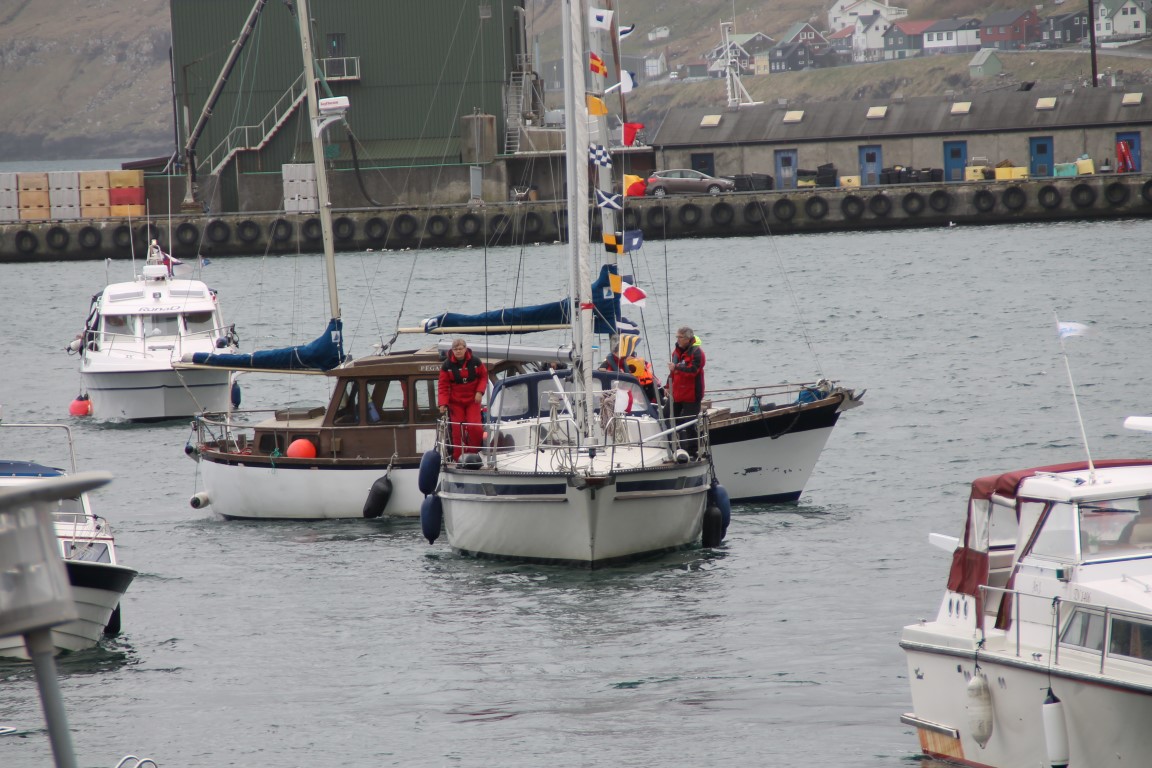 IMG_6238 (Medium)