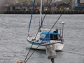IMG_6213 (Medium)