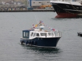 IMG_6229 (Medium)