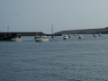 P1030667